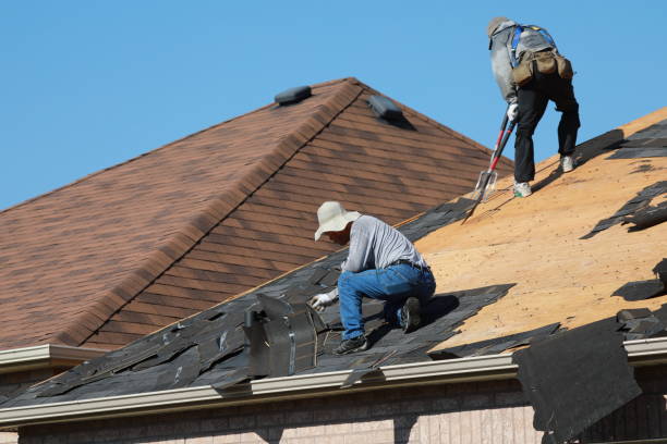 Best Chimney Flashing Repair  in Hawley, MN